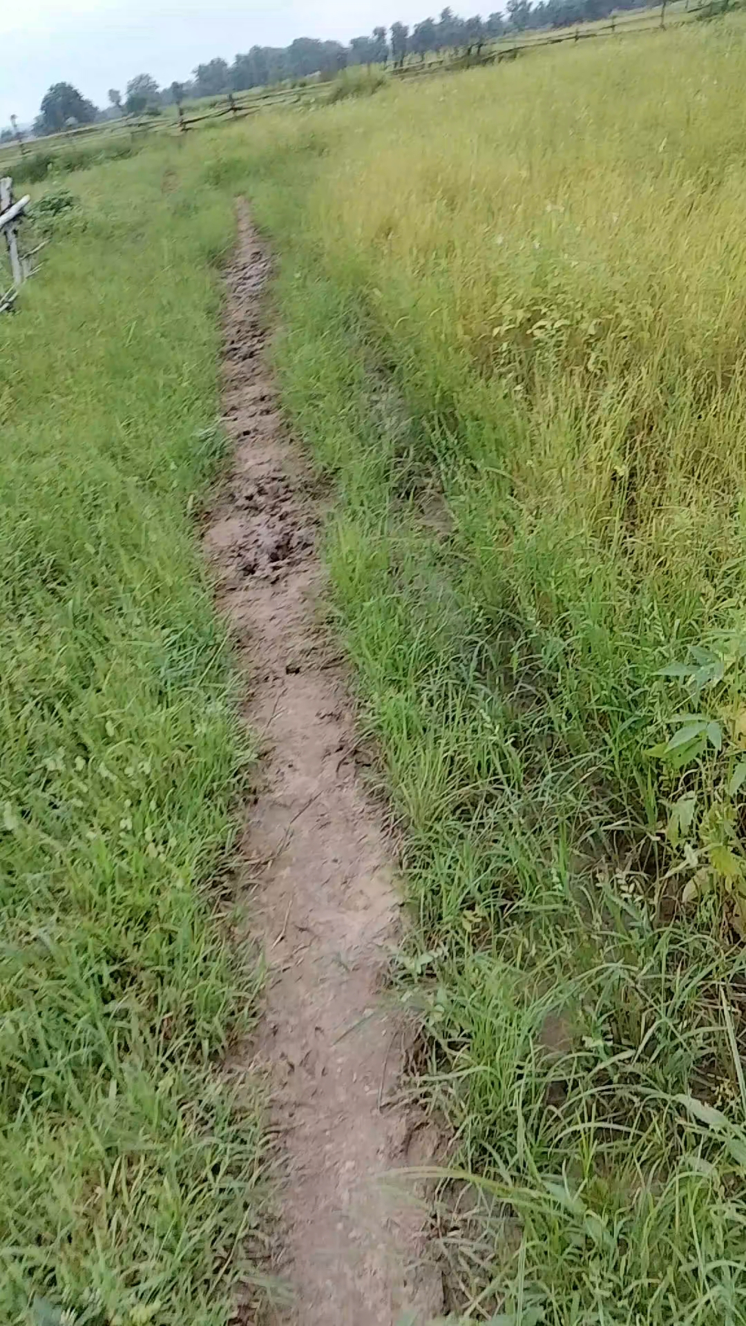 Farming khet ka najara hai