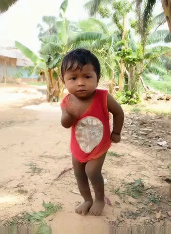 Ai dans video