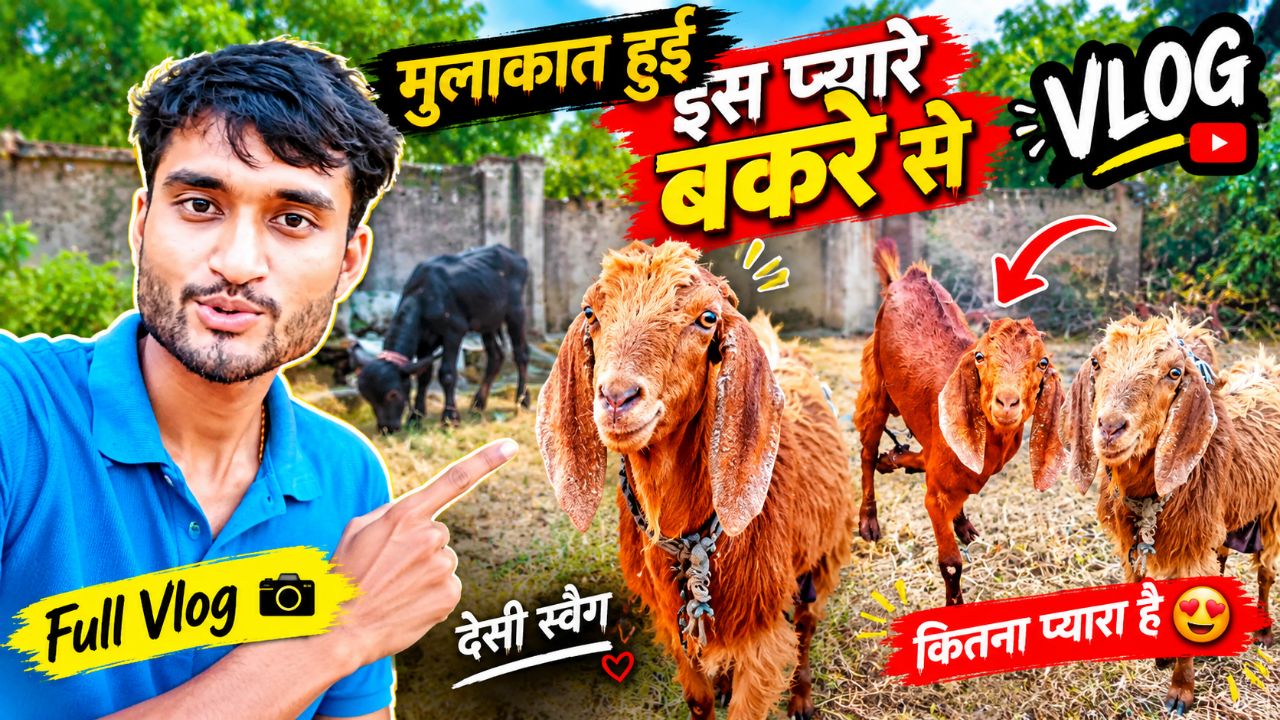 New desi vlog video || Theway