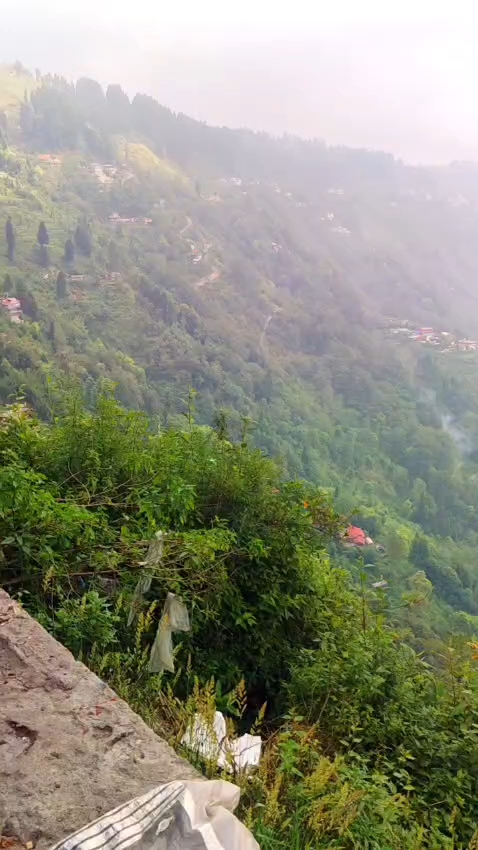 #vlog
