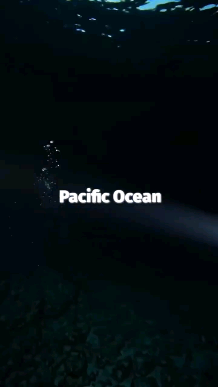 5 Amazing Truths About the Pacific Ocean 🌊 | Facts You Never Knew!