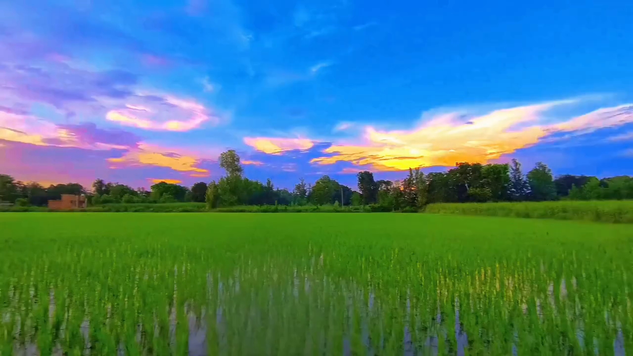 Follow me #farminglife🌾👨‍🌾 #khetibadi🌱🌾😍 #instareels #viralreels #trendingreels