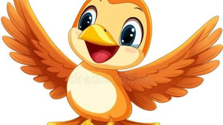 Bird or pecock