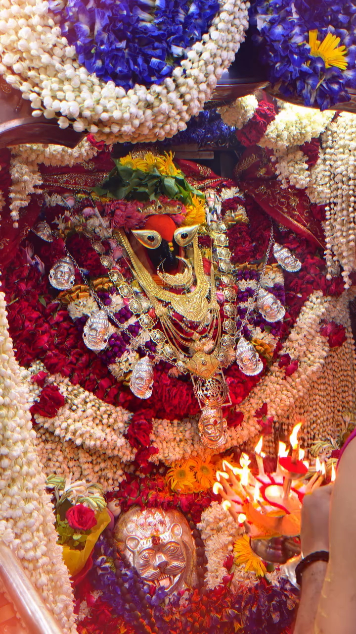Maa