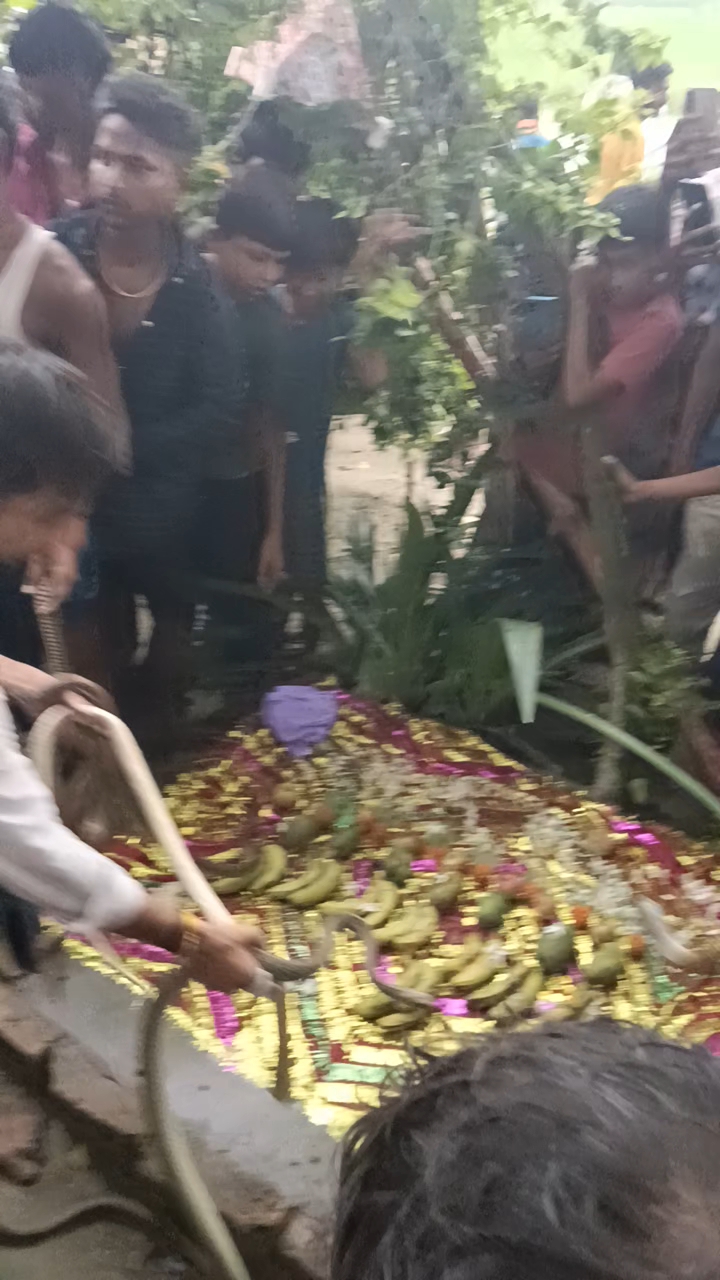 नाग पंचमी