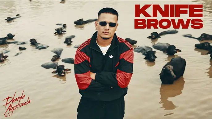 Knife brows | Dhanda Nyoliwala | Haryanvi song