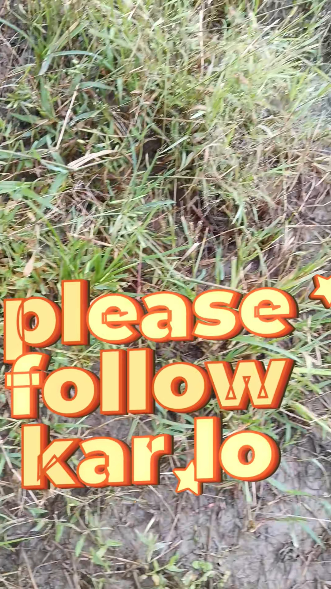 Please follow me