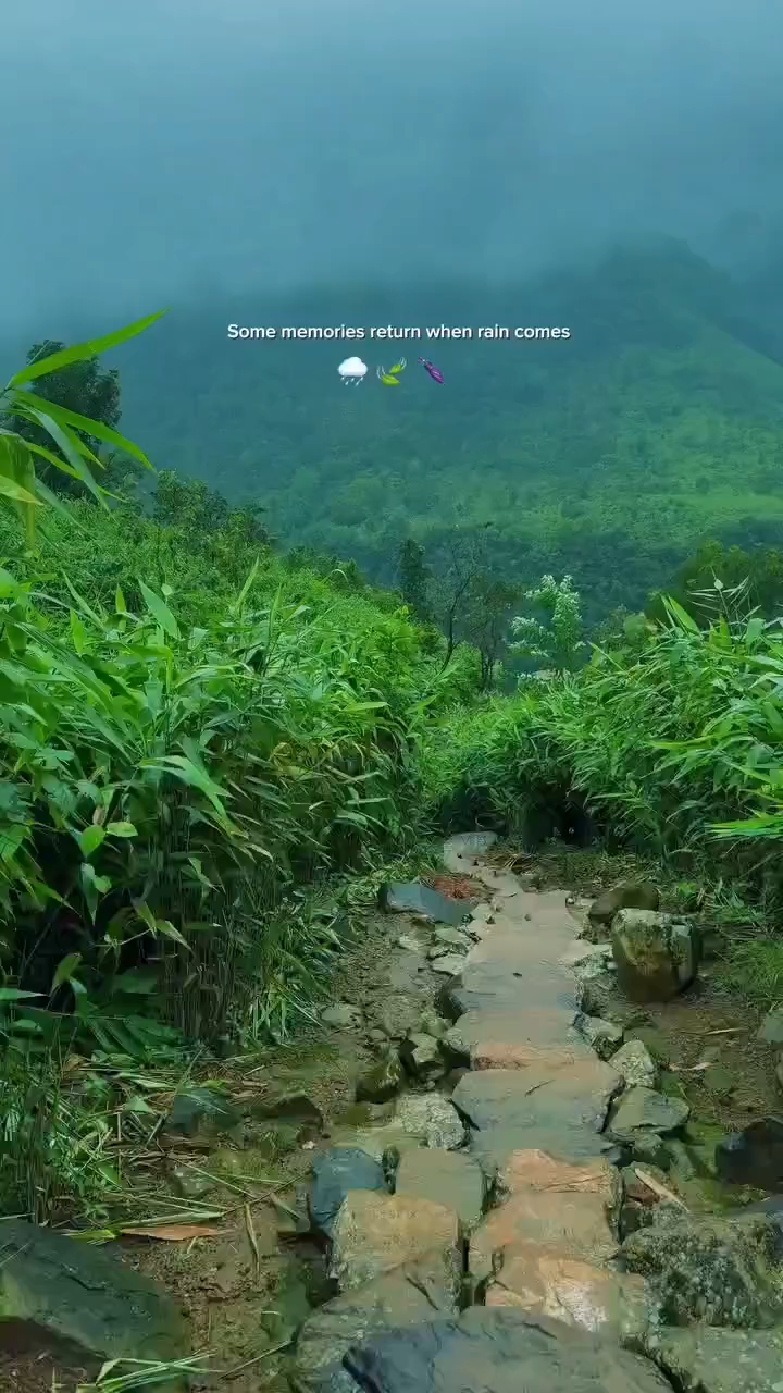 NATURE VIBES🤗🤗