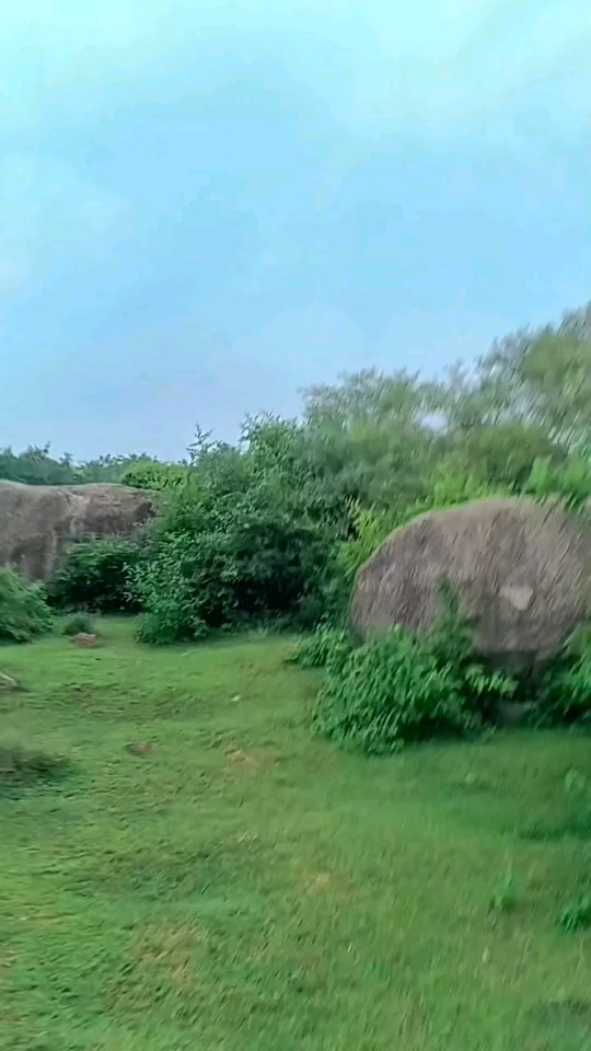 Virat i video