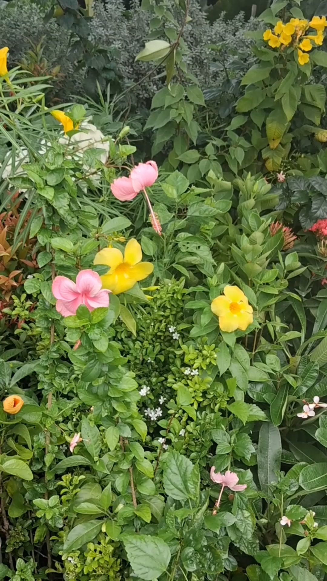 Flowers 💐
