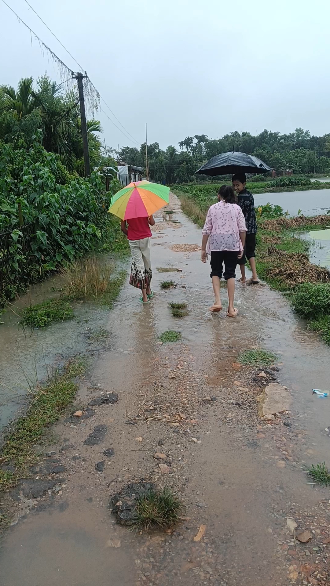 ইমান বৃষ্টি দিয়ে আছে