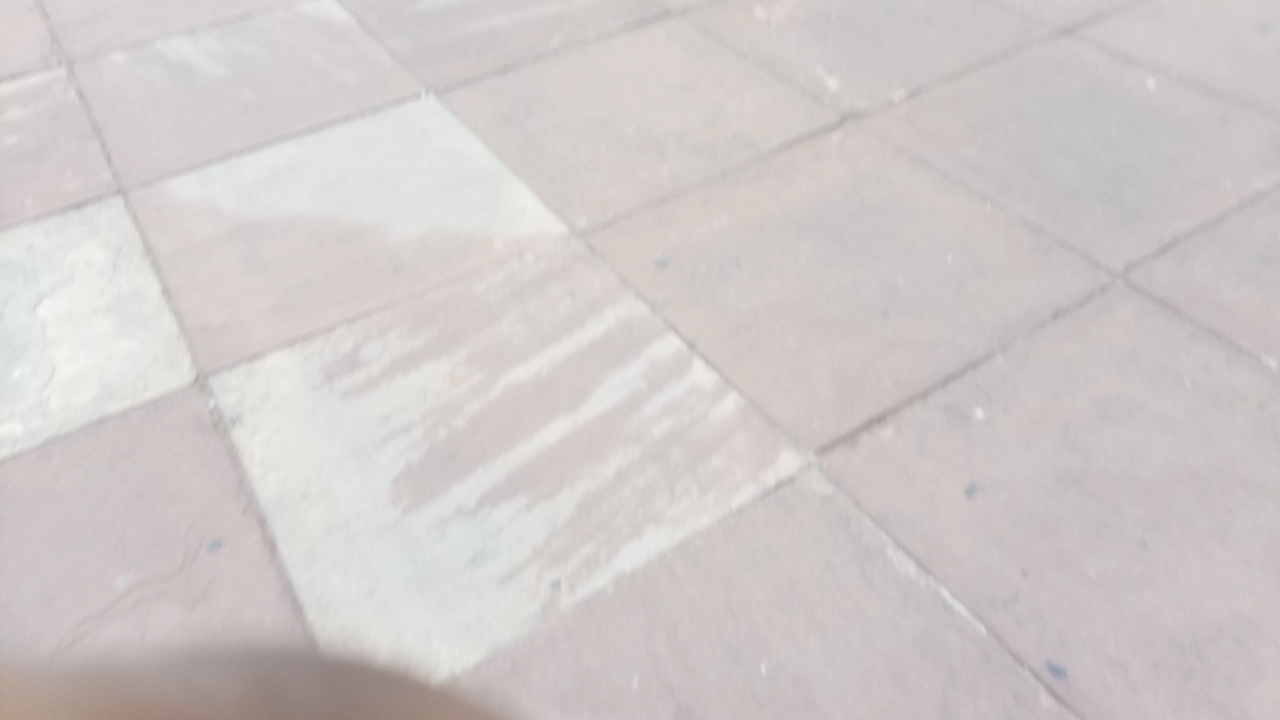Delhi Jama Masjid ll Vlog ll