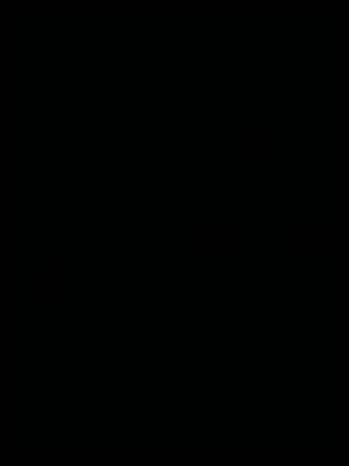 17 September 2026