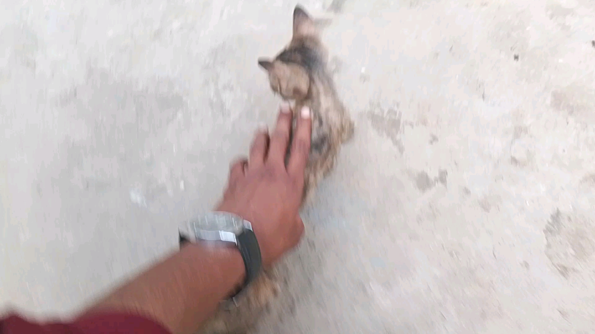 Apni cat🐱 k sath enjoy😊