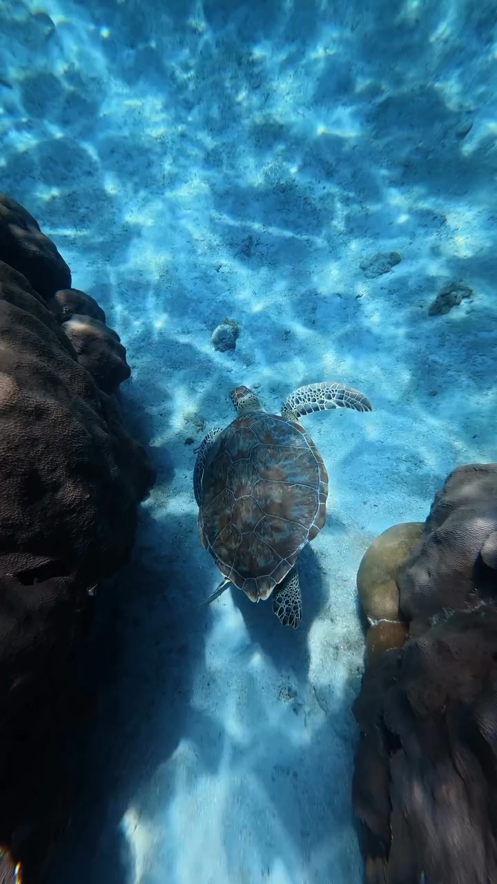 Some souls were made for the sea

#shotonosmo...
