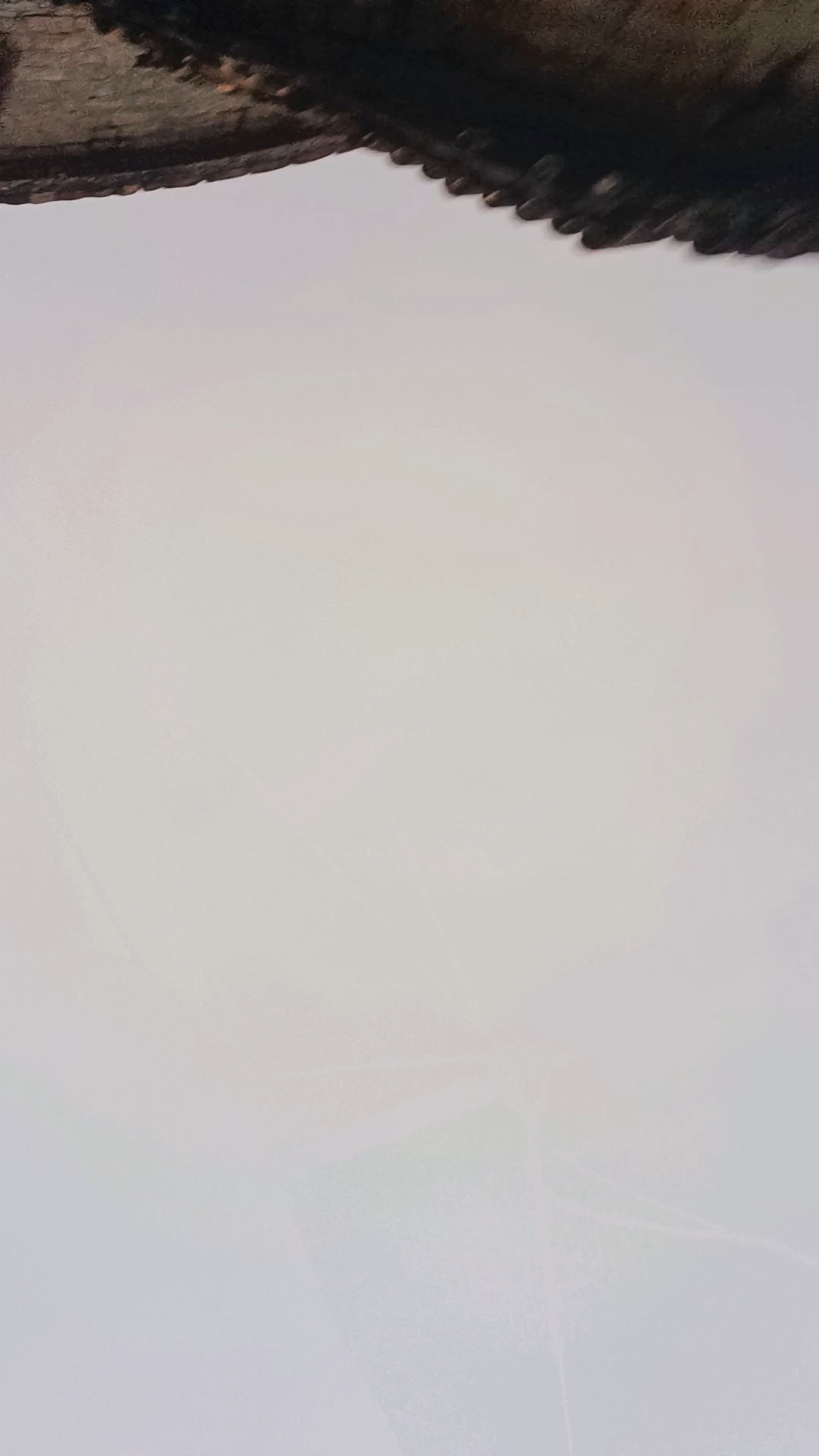 Bhojpuri song