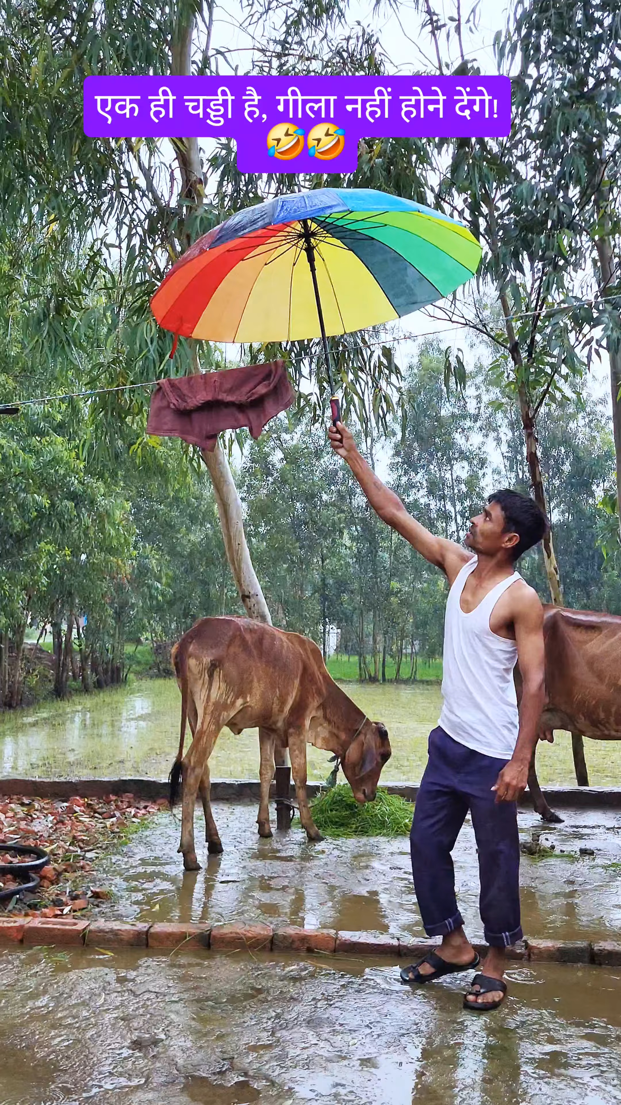एक ही चड्डी है गिला नहीं होने देंगे 🤣# #funny

#viral #reels #shorts⛈️
