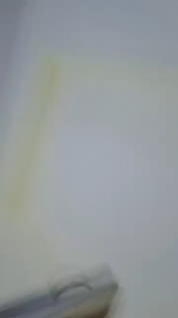 17 September 2026