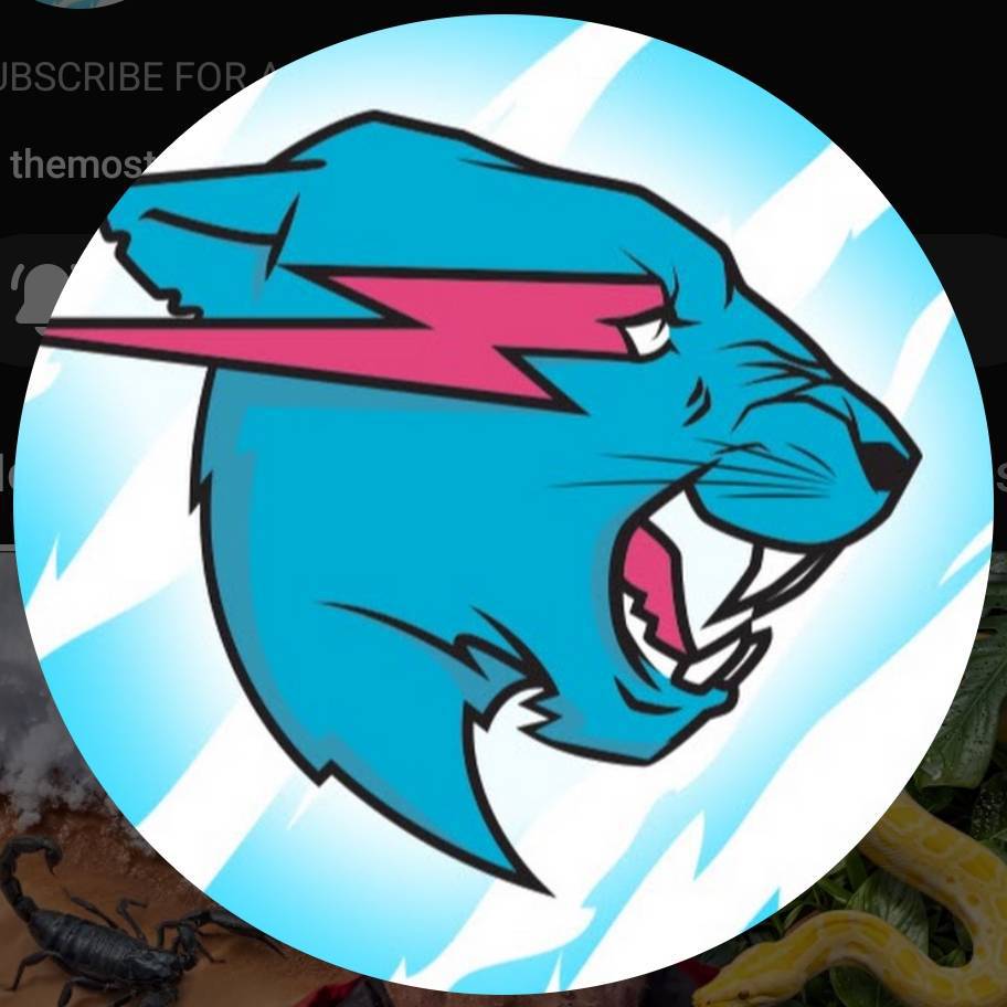 @mr.beast on Bideo