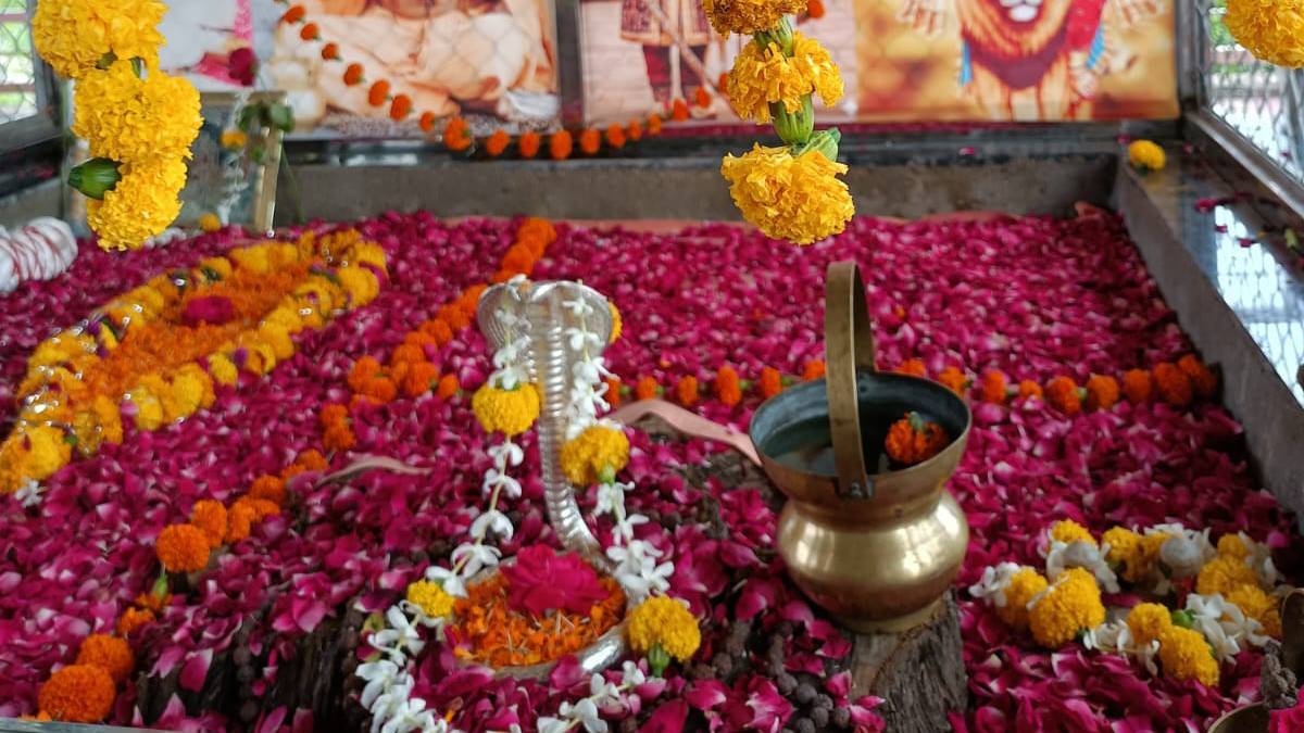 Guru dham bawdi