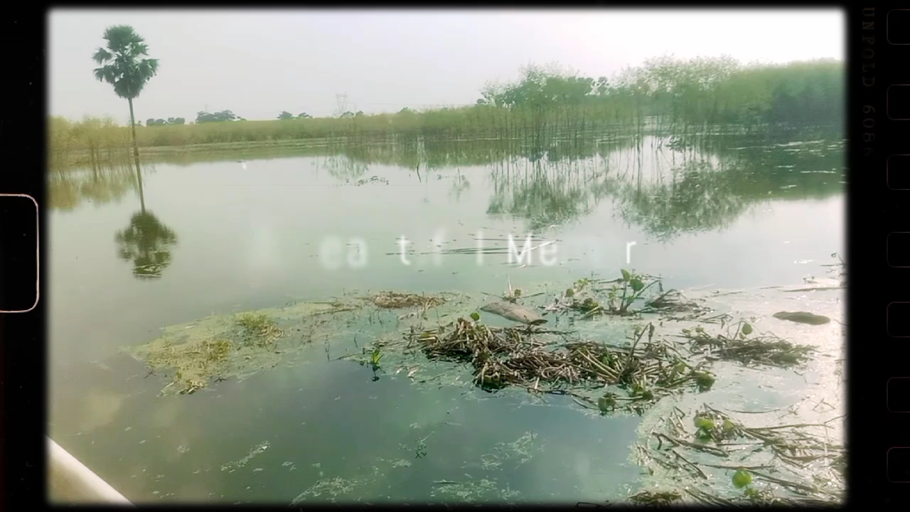 Sitesh nagar me aap sabi ko saogat hai mini vlog me