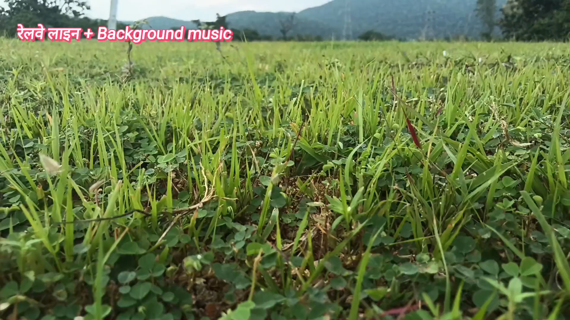 My first bolog on Bideo