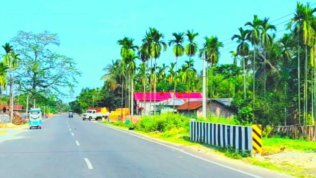 Beautiful Green Road Ride 🌿🏍️ | Peaceful Nature Drive | Kerala Road Trip #Shorts