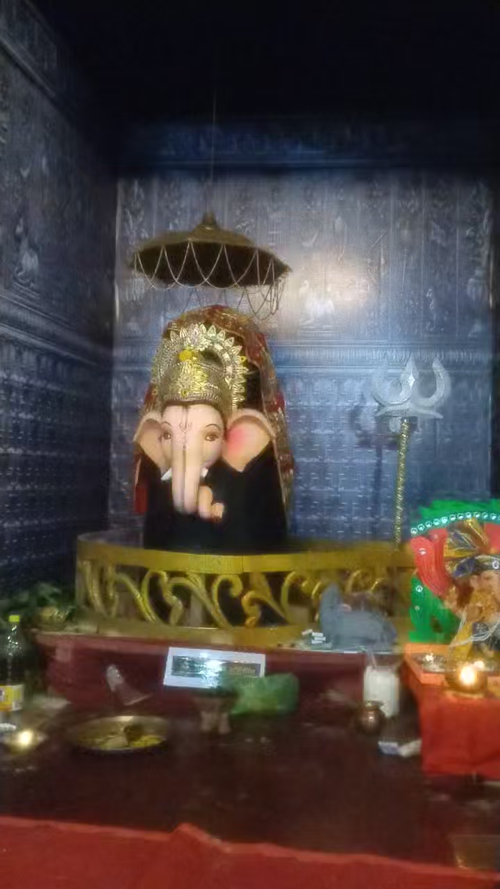 Vikas nagar gudhiyari raipur ka Ganesh ji