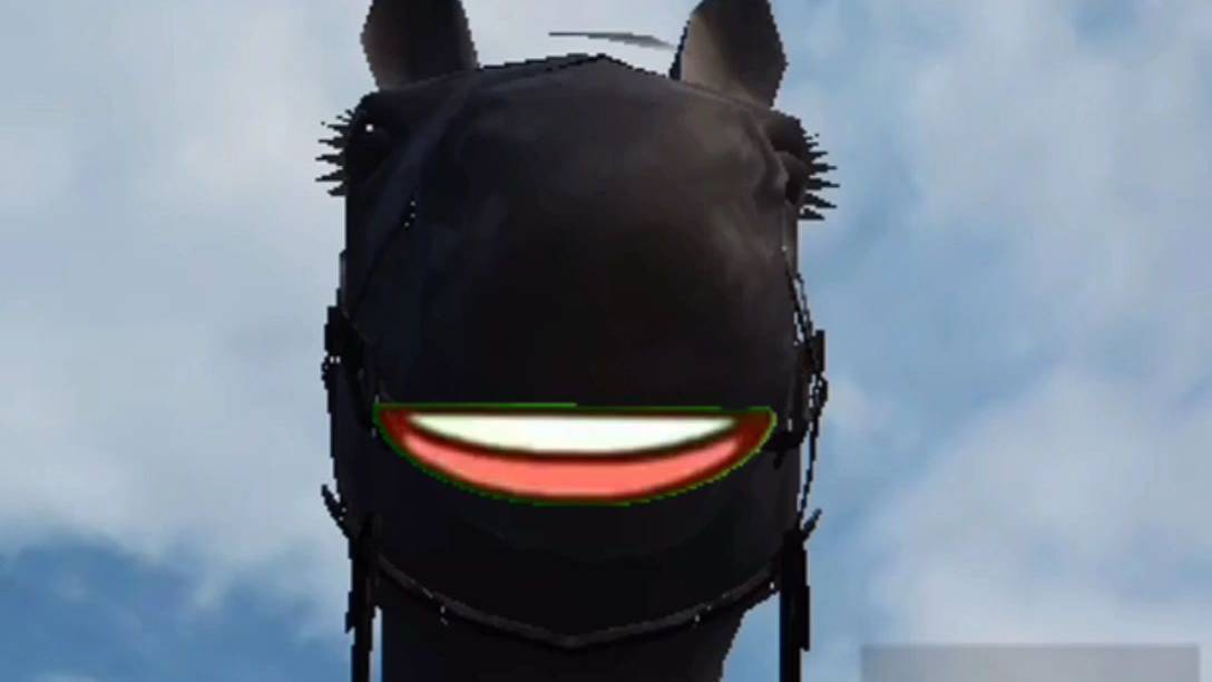 Horse fun