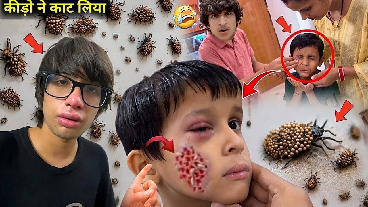 Kido Ne Hamla Kar Diya 😭 Kaat Liya Kunali Ko #souravjoshivlogs #vlogs