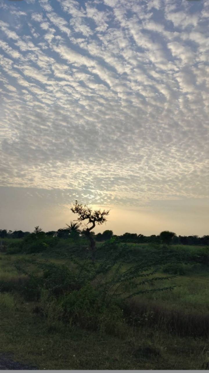 😁Gaon ka nazara 😍 gopal Nagar 😍😍😍👁️👁️👁️