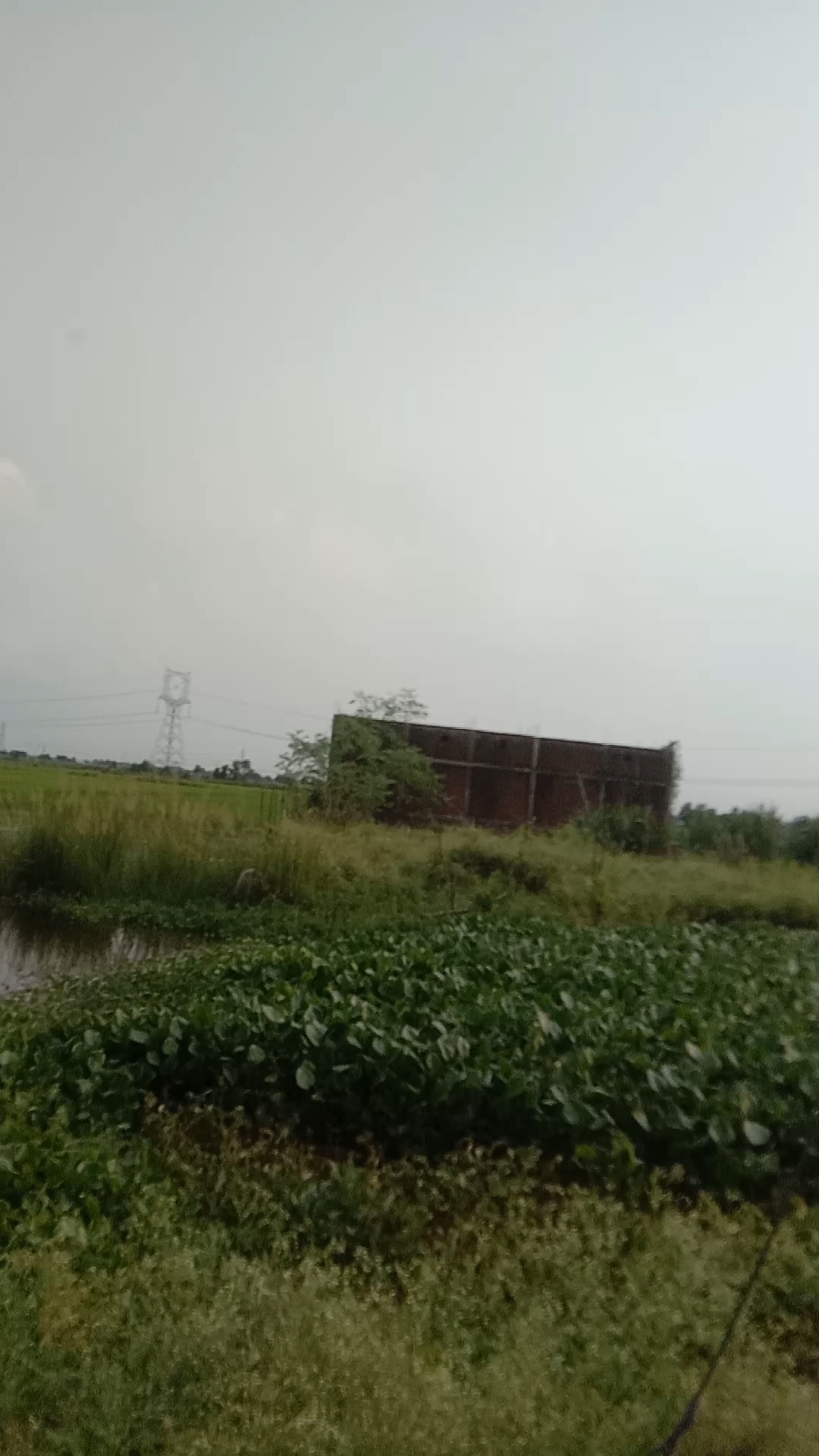 Mere gaun ka nazara