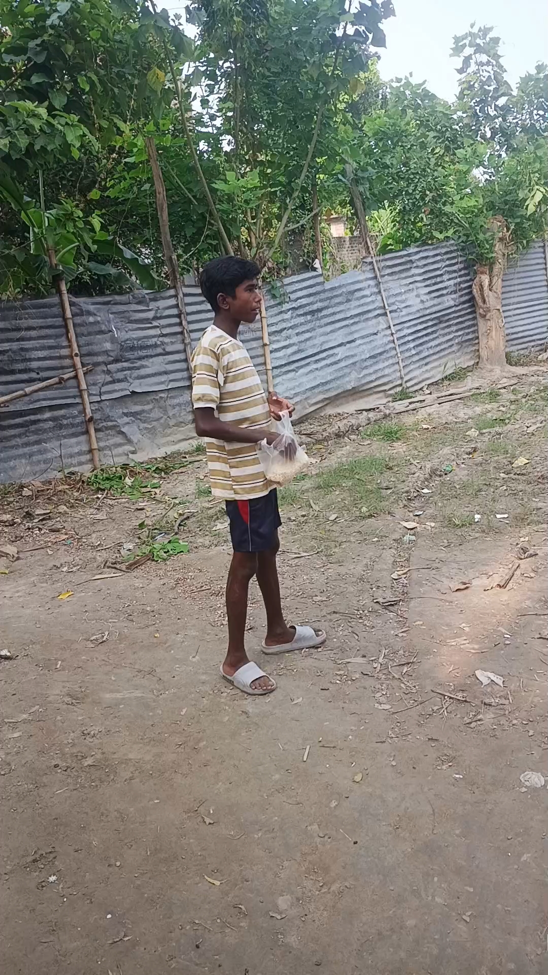 Olni tola pani