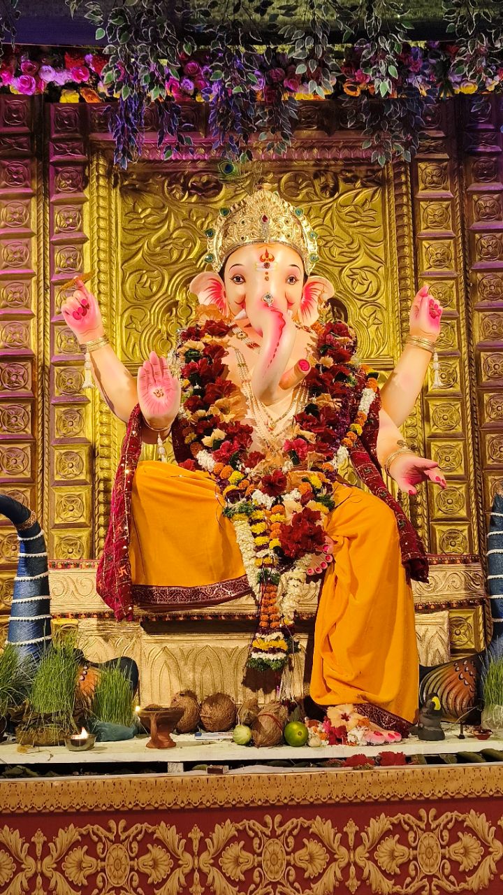 मोहाडी का राजा  नटराज राजा