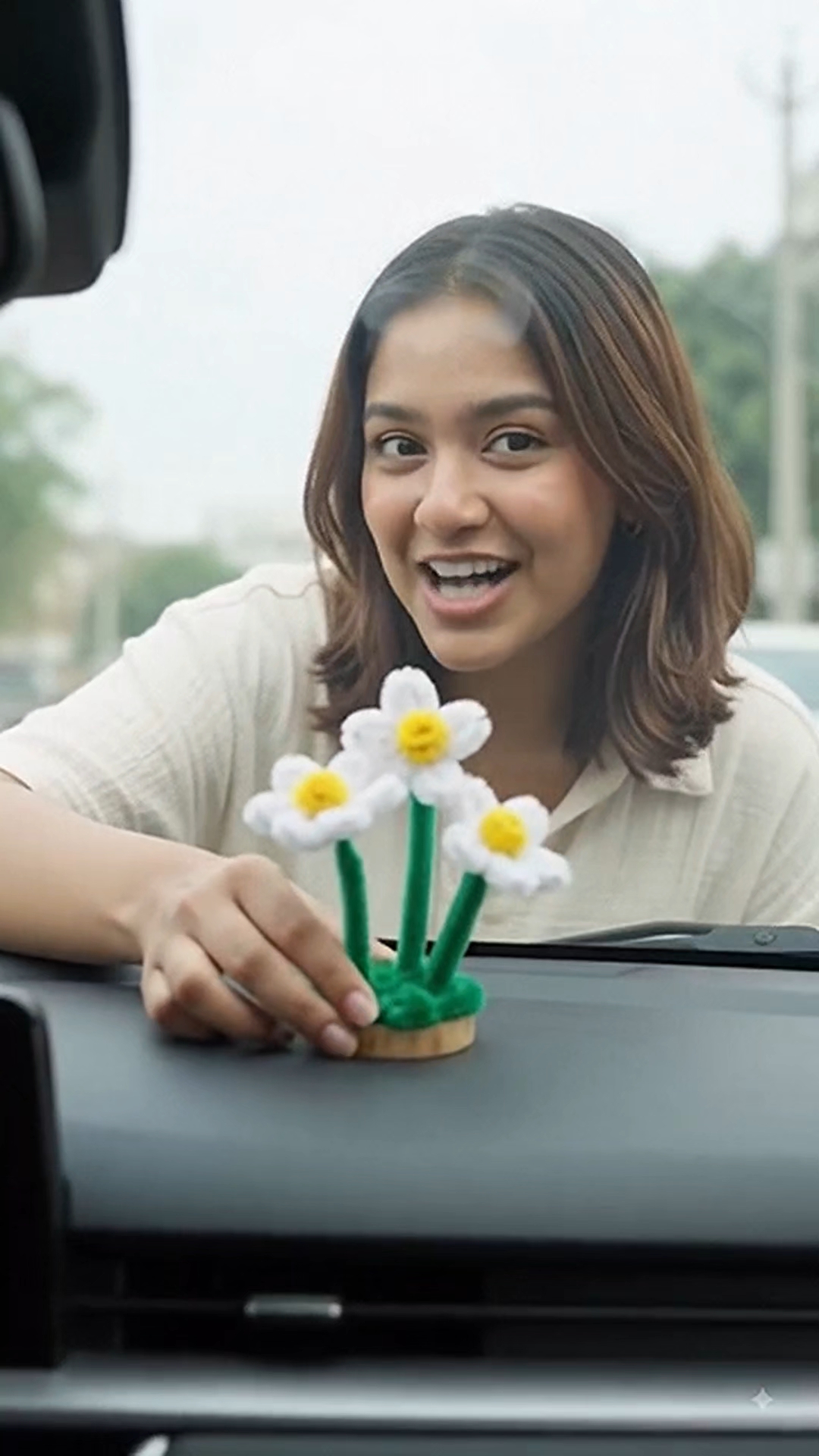 Mini Daisy garden for car dashboard 🌼