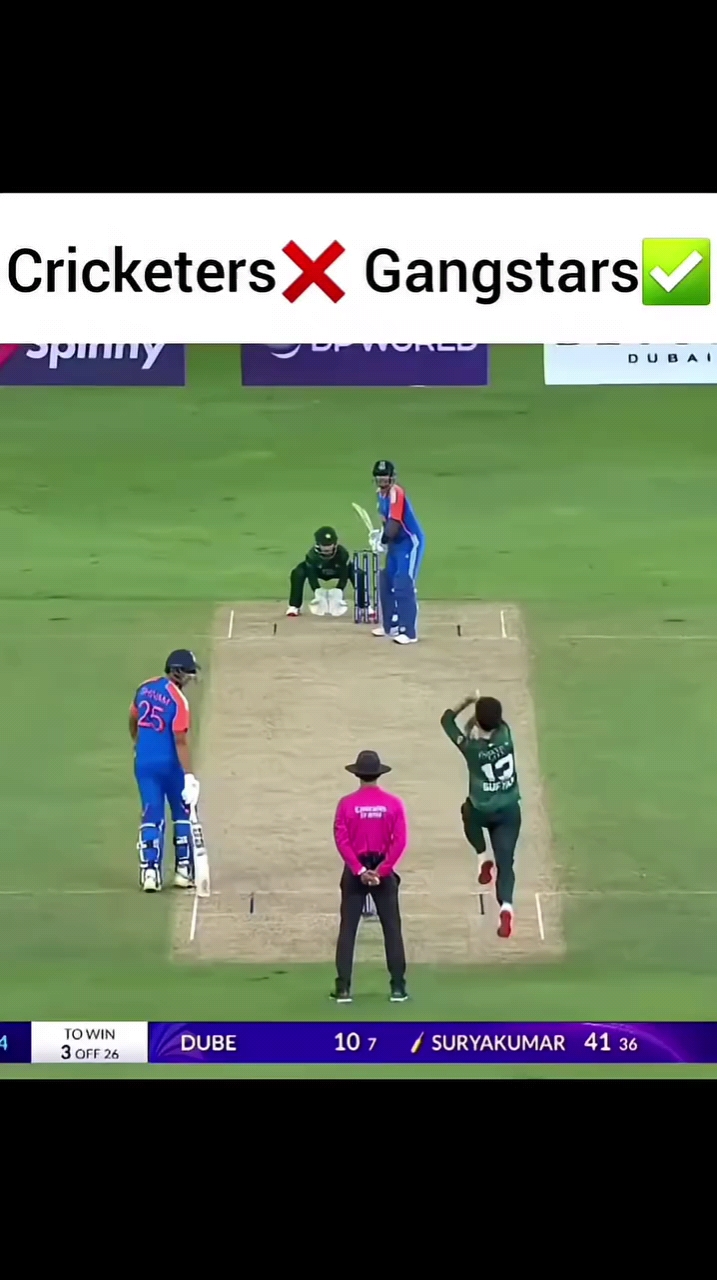Cricket