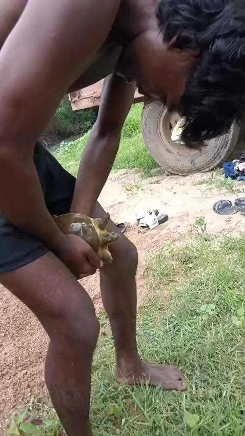 Bihar sirki ki kam karegi Rahane do