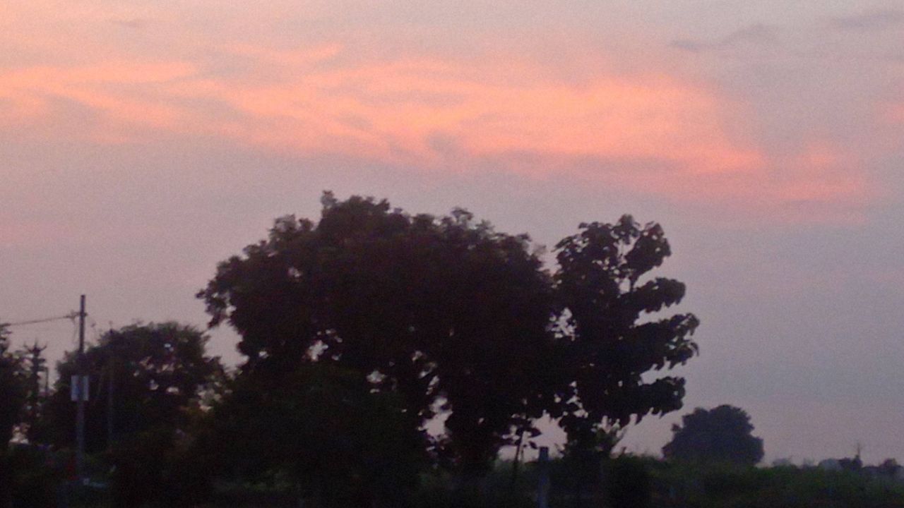 Natural views ✨ in our  india. Gaon ka drishya.follow me 🥺 🙏🏿