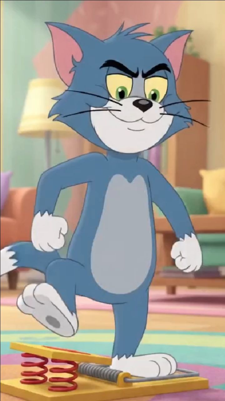 Tom and Jerry Marathi cartoon