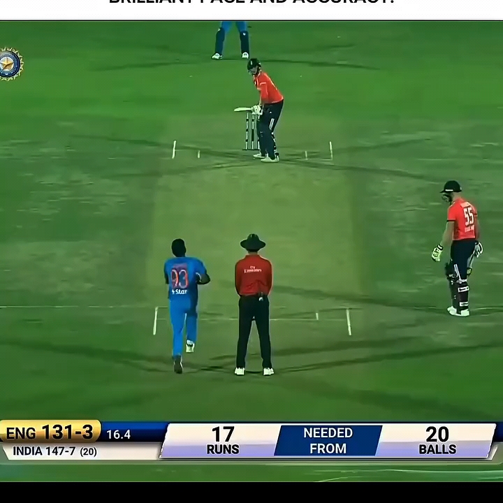 Cricket