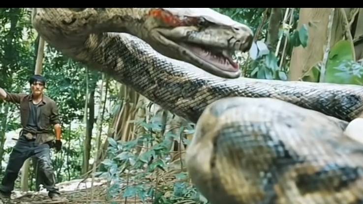 Anaconda in jungle