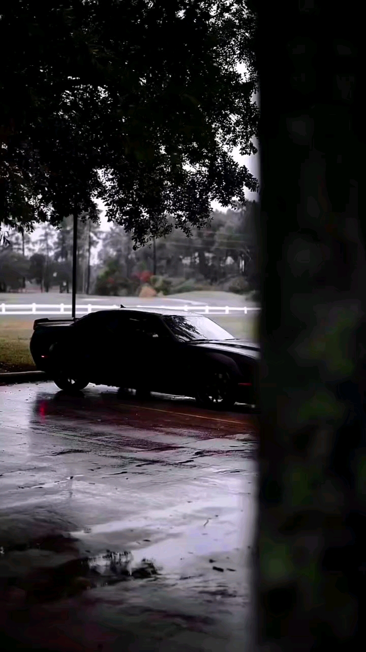 19 September 2026