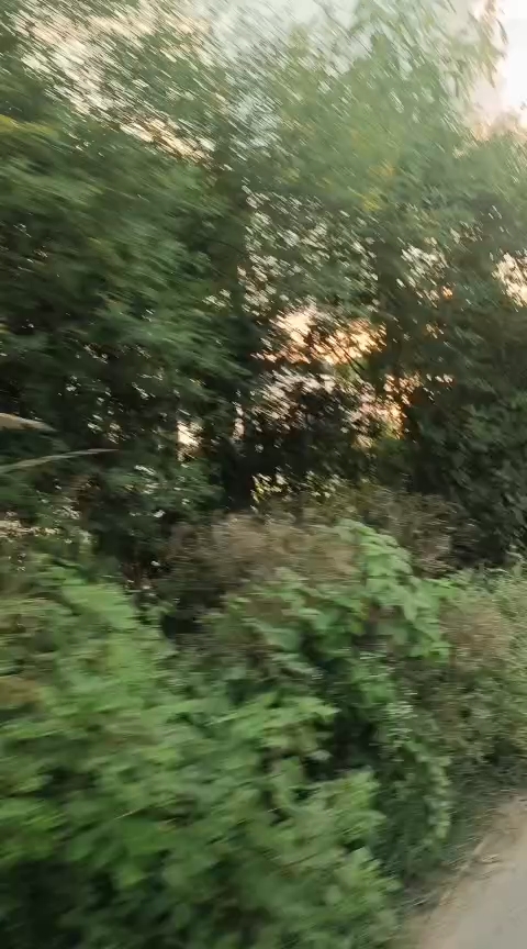 Flood in village ll Vlog ll