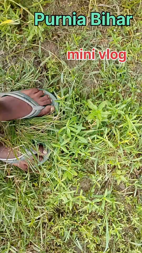 Viral video