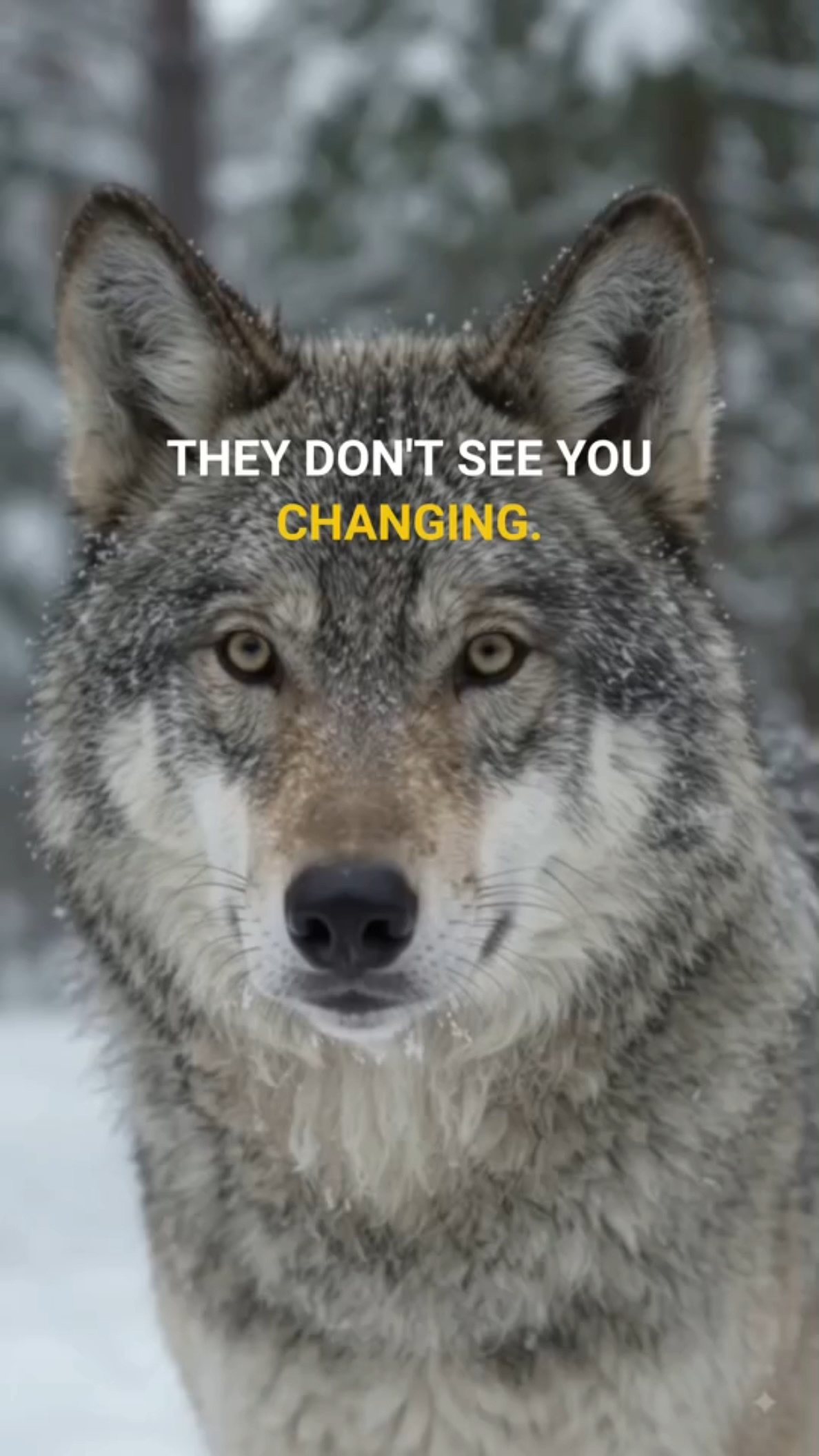 They Don't See Your Growth… Until Your Results Speak 🐺🔥