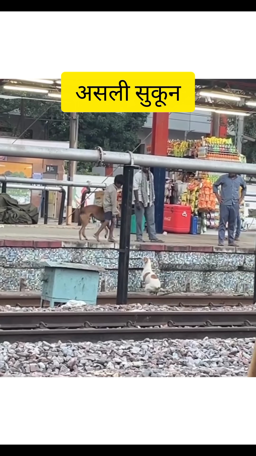 Humanity still alive