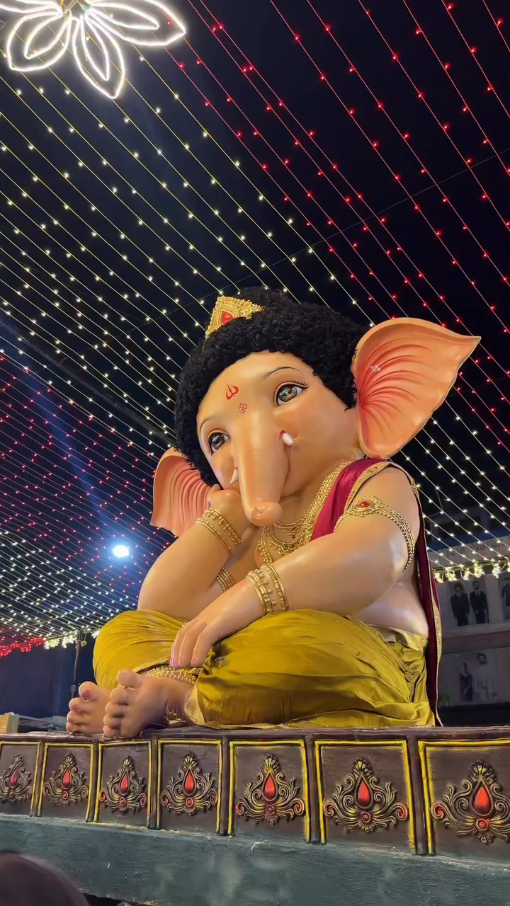 Bal ganesh ❤️🥹
Vapi cutest ganpati ever 🎀🕊️

#balganesh #ganpatibappamorya #cutest #bappa #vapi