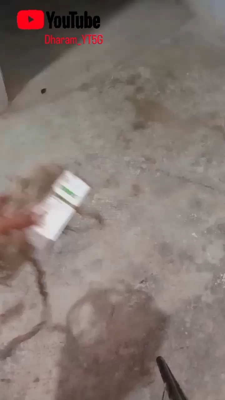 Crazy experiment