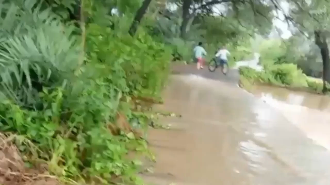 Baali Da Ridar