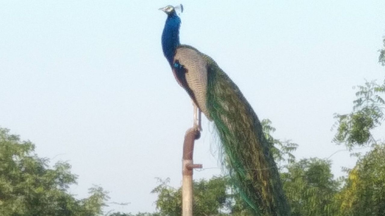 Varish ke karan pani😆😆🥰